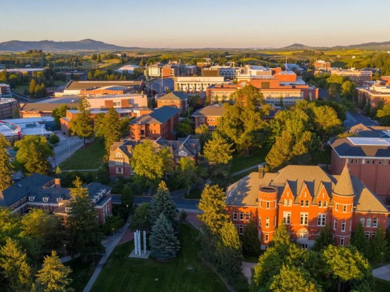 Washington State University Vancouver (WSUV)